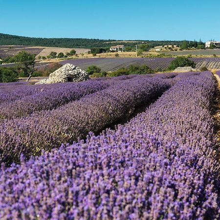 Serre Des Ormes - Cycling, Walking & Running Retreat Salerans Экстерьер фото