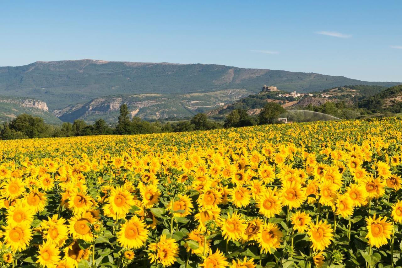 Serre Des Ormes - Cycling, Walking & Running Retreat Salerans Экстерьер фото